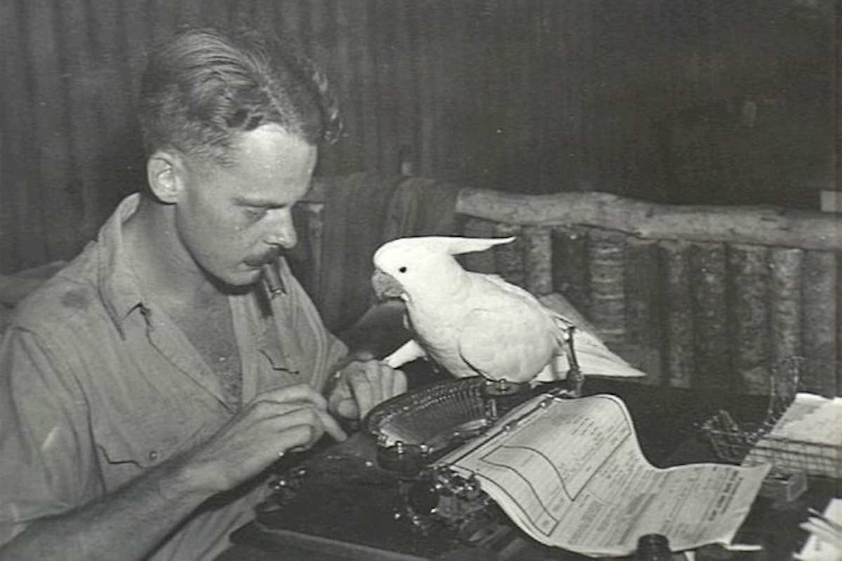 An old black and white photo of a man typing on an old, mechanical typewriter. Perched on top of the typewriter is a white cockatiel. Original caption from source: « G. Allen of Qantas, who is attached to the RAAF, handles air traffic information to capital cities with a pet cockatoo 'Cornelius' perched on the typewriter. » (📸 Australian War Memorial, in the public domain)