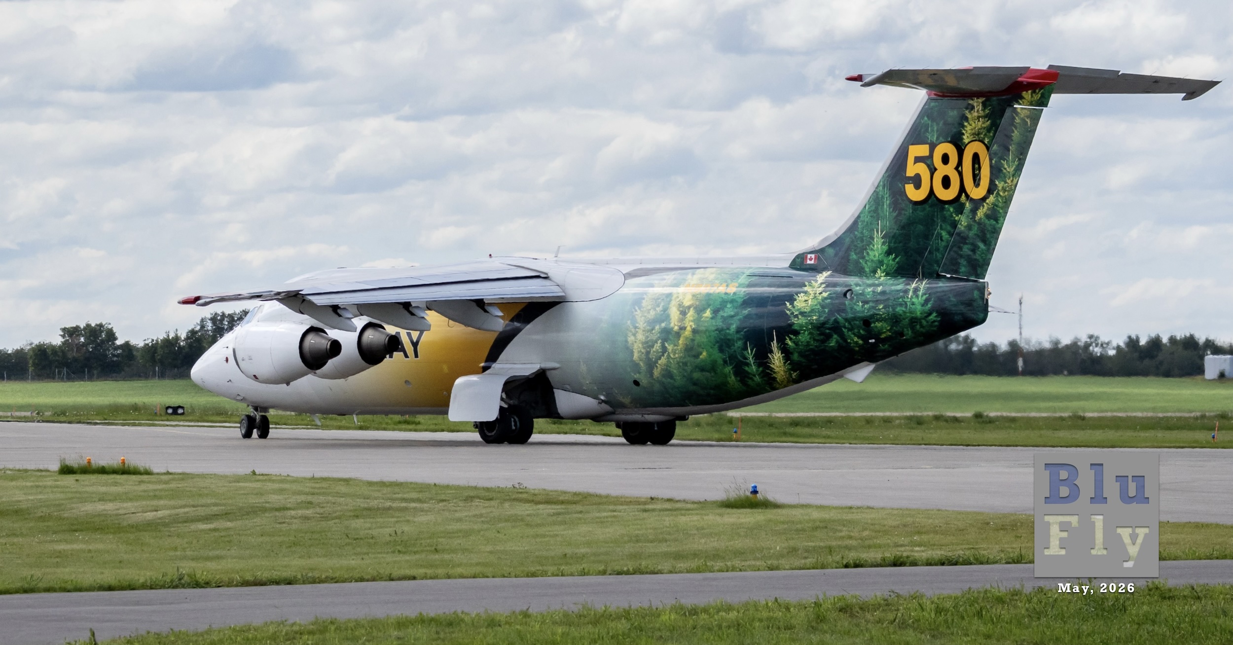 British Aerospace BAe 146-200A N907AS parked on the ramp at an airport surrounded by low trees. It has a mural-like livery depicting an evergreen forest.