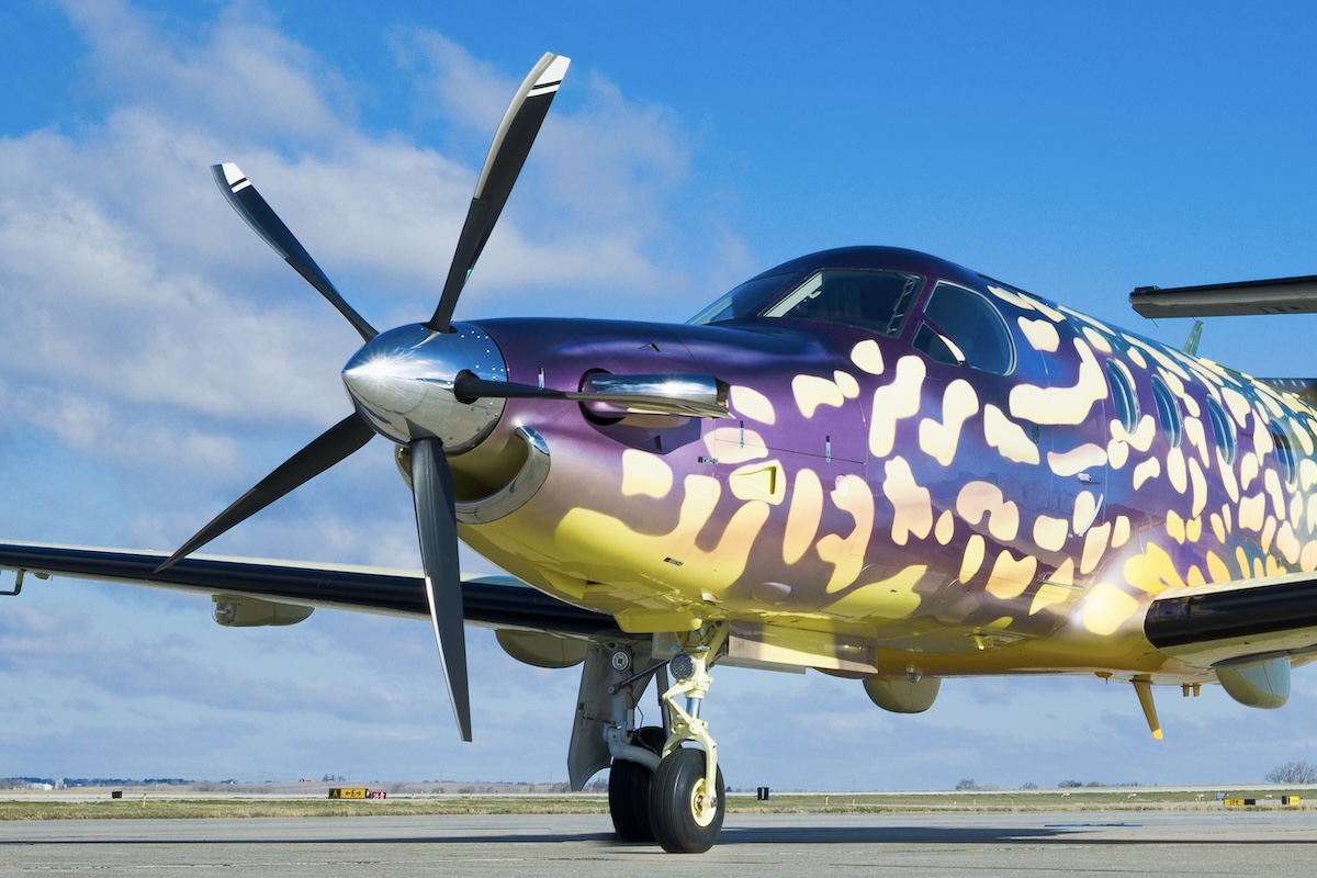 The nose of a Pilatus PC-12 that is parked on an airport ramp. It is painted in iridescent, purplish paint dotted with white spots.