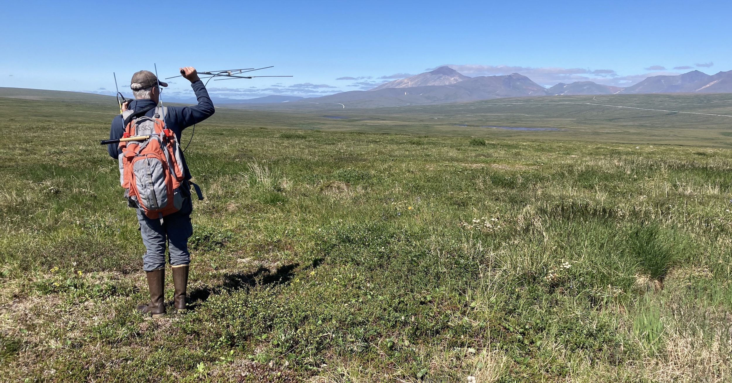 A man stands on rolling Alaskan tundra near Nome. He is holding an aerial and pointing it outwards so as to track beacon-equipped birds. (📸 Daniel R. Ruthrauff, PhD, US Geological Survey in the public domain.)