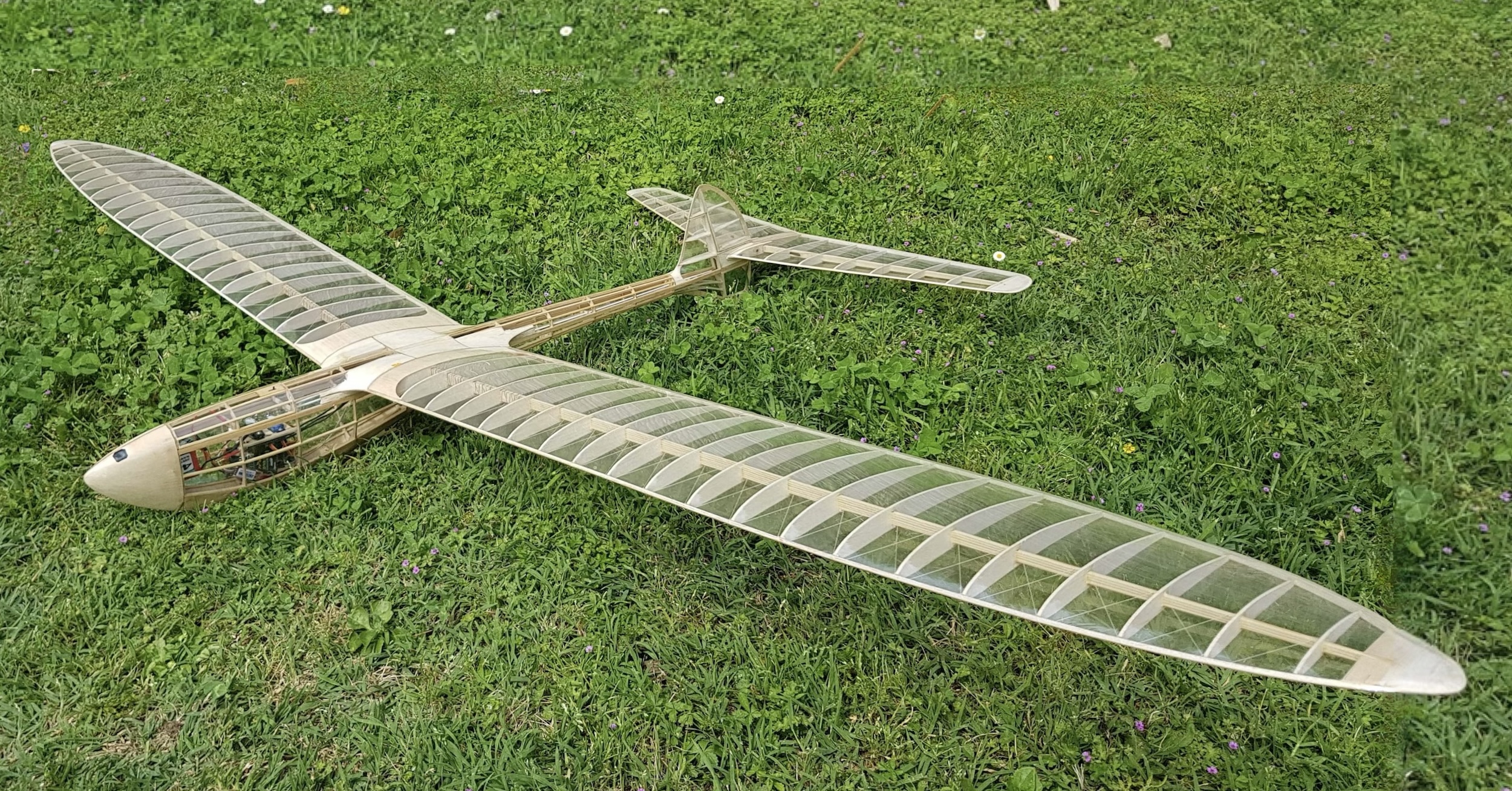 A model glider sitting on a closely mown grass field. It is made of a wood framework and is covered in completely clear film. The aircraft is oriented so that its nose is pointing at the bottom left corner of the frame. The camera position would be such that the photographer seems to be kneeling. The aircraft is of conventional configuration, and its clear skin reveals some of the mechanical components located within the fuselage forward of the wing. Note: in order to obtain the correct aspect ratio required for publication, the image has been retouched and modified to add some extra border area and also to show the entire wing. (📸 Paulo Rossi | Gruppo Falchi)