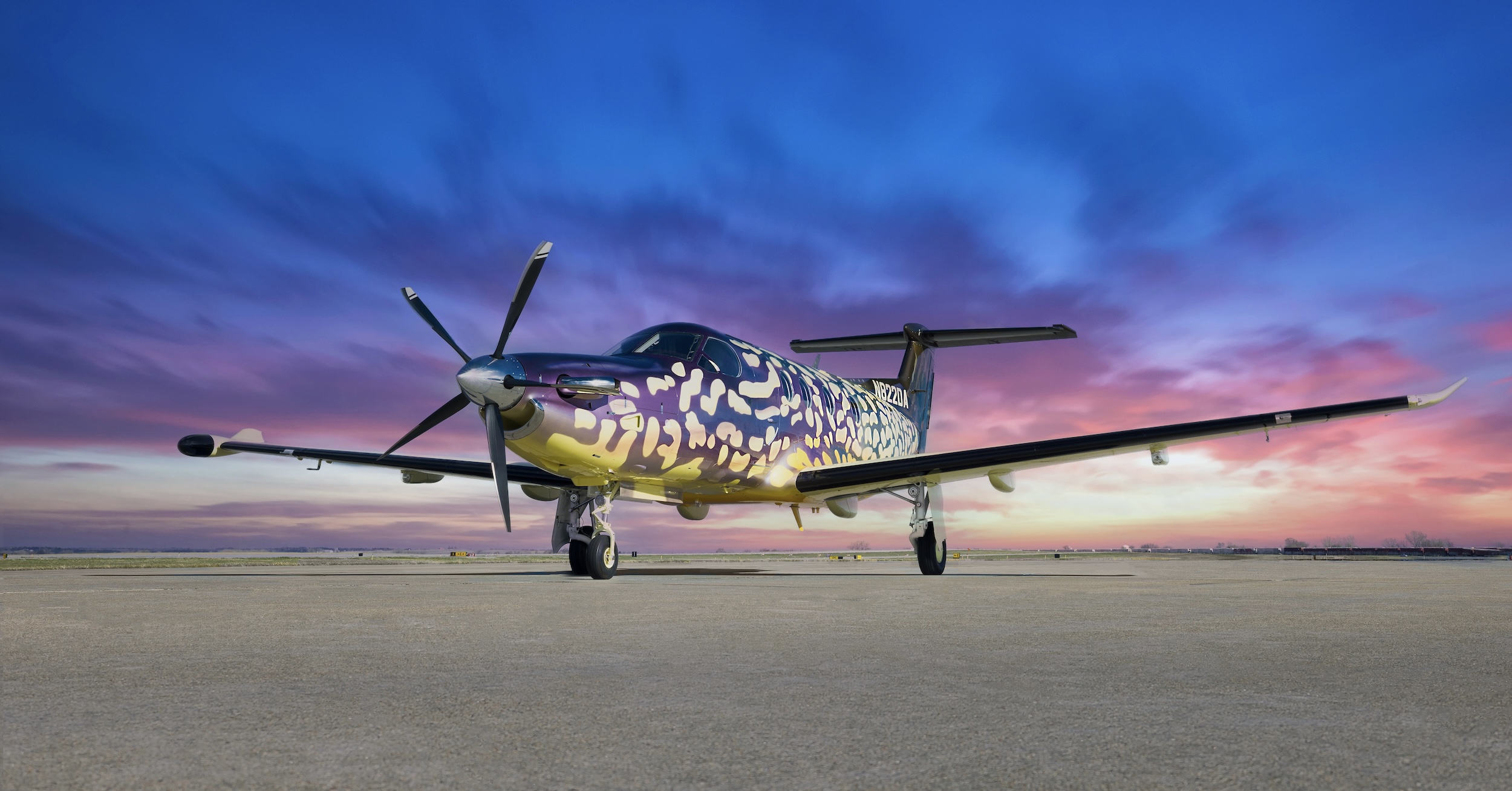 A Pilatus PC-12 parked on an airport ramp. It is painted in iridescent, purplish paint dotted with white spots meant to resemble a northern pike.